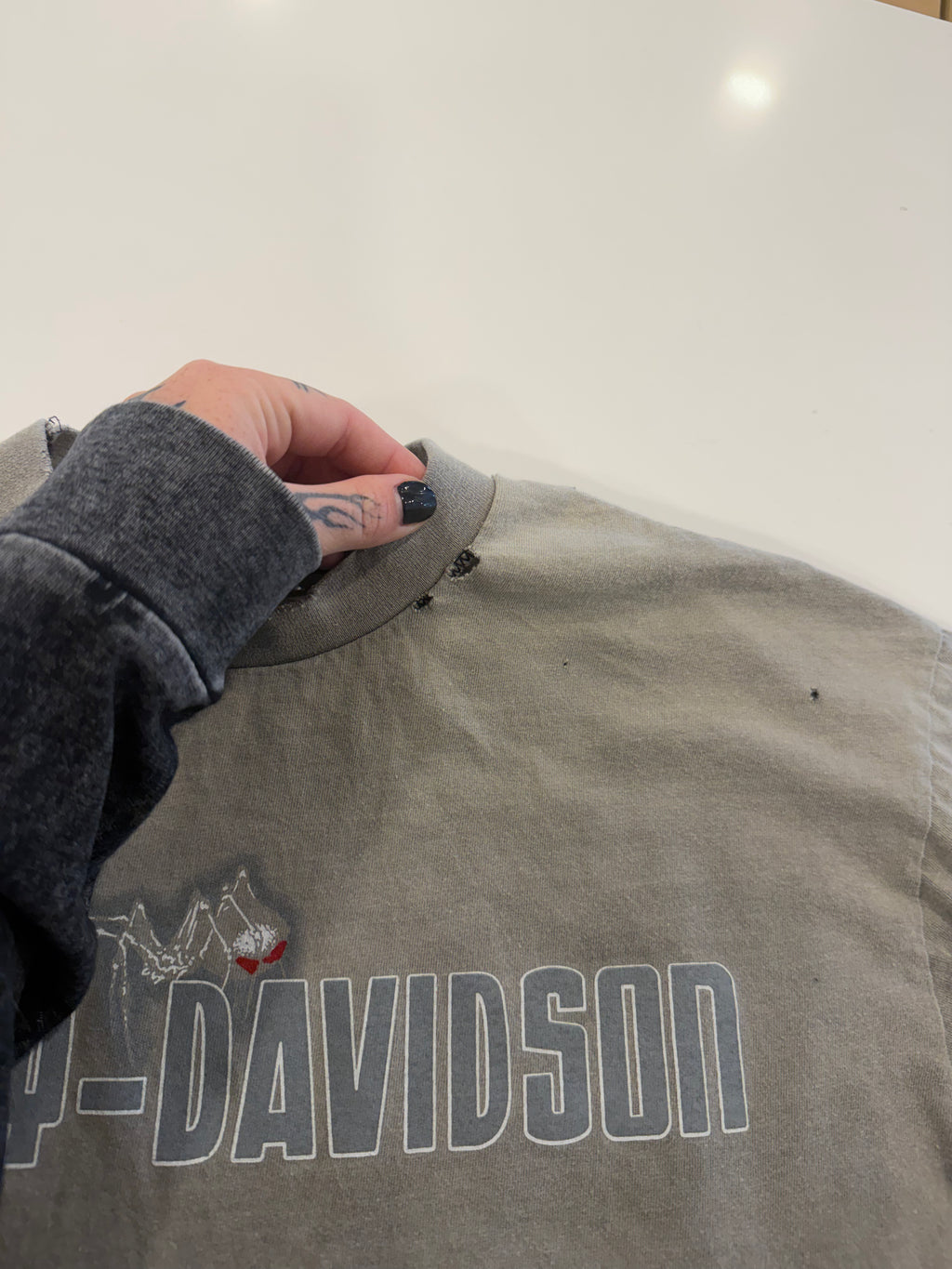 Grey/beige washed spider long sleeve