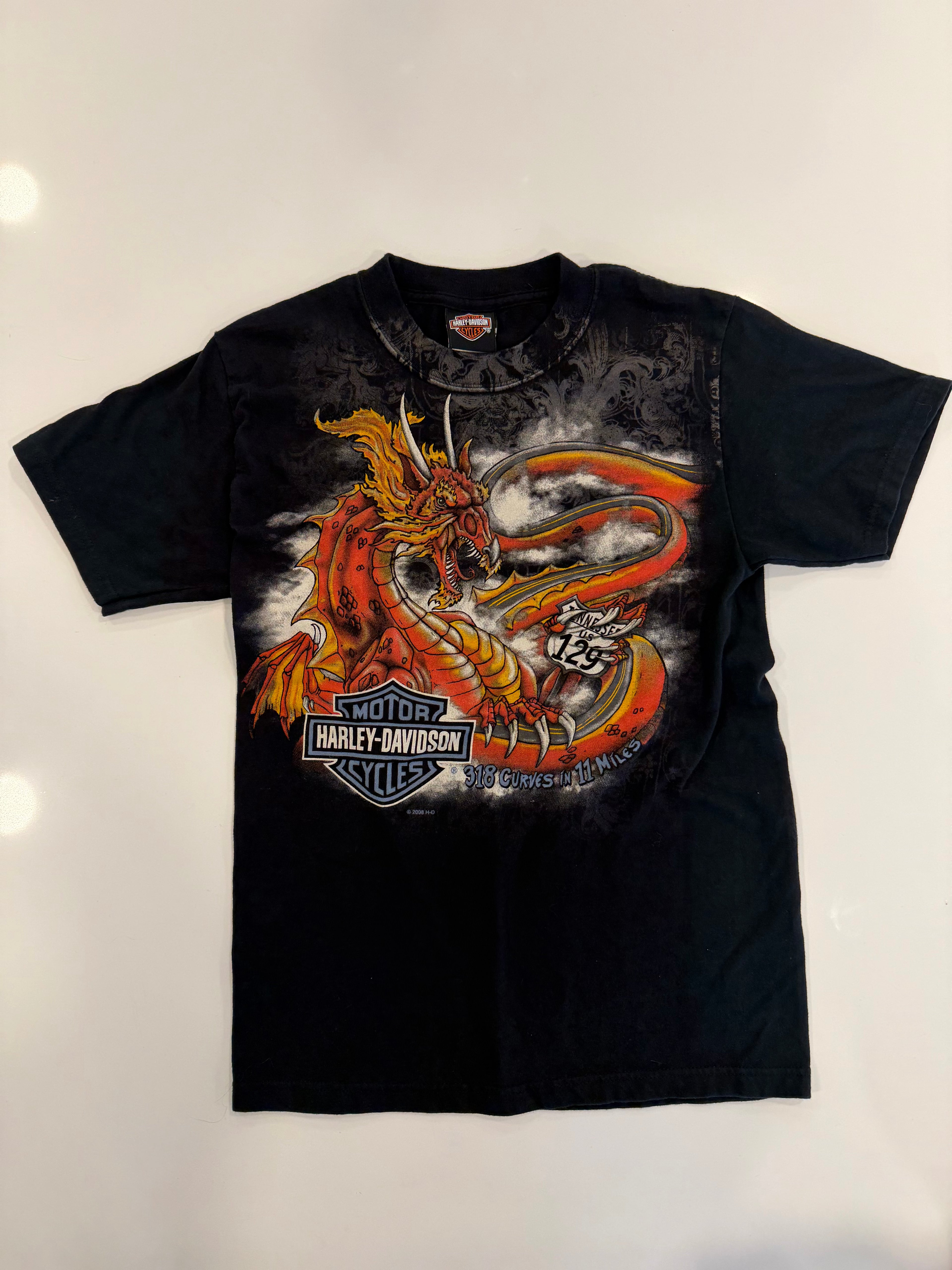 TN smoky mountain dragon tee