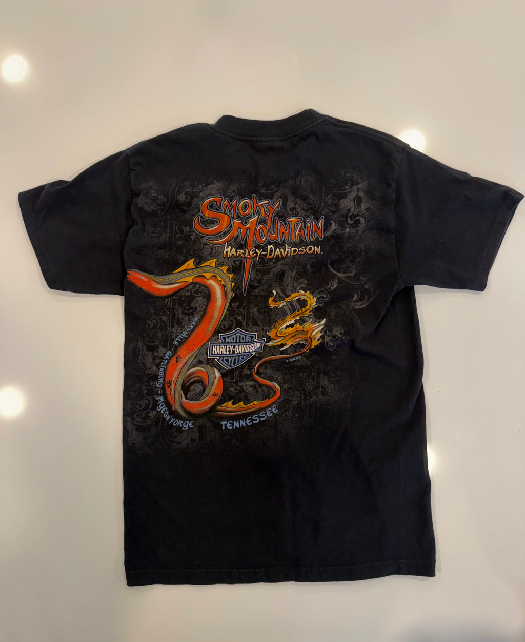 TN smoky mountain dragon tee