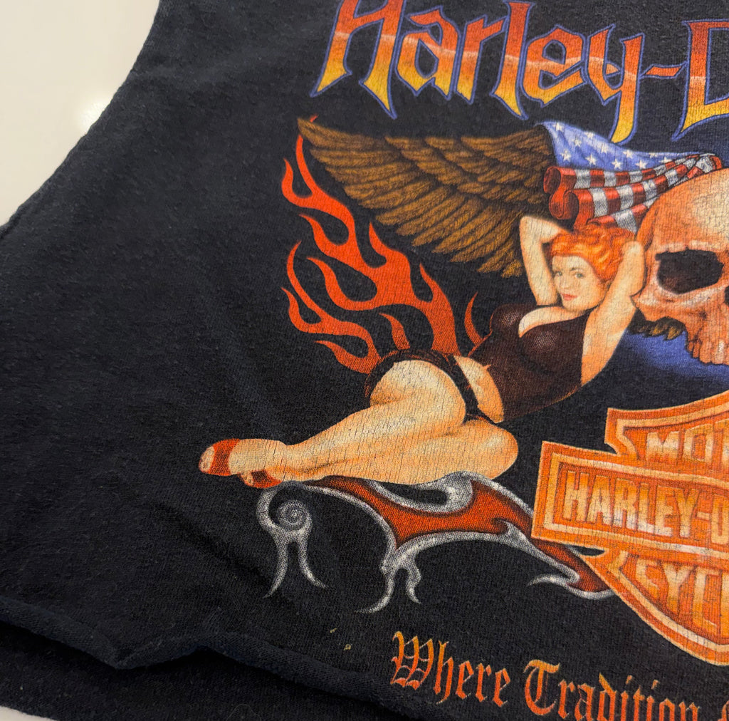St. Augustine FL flaming pin up girls cropped tank