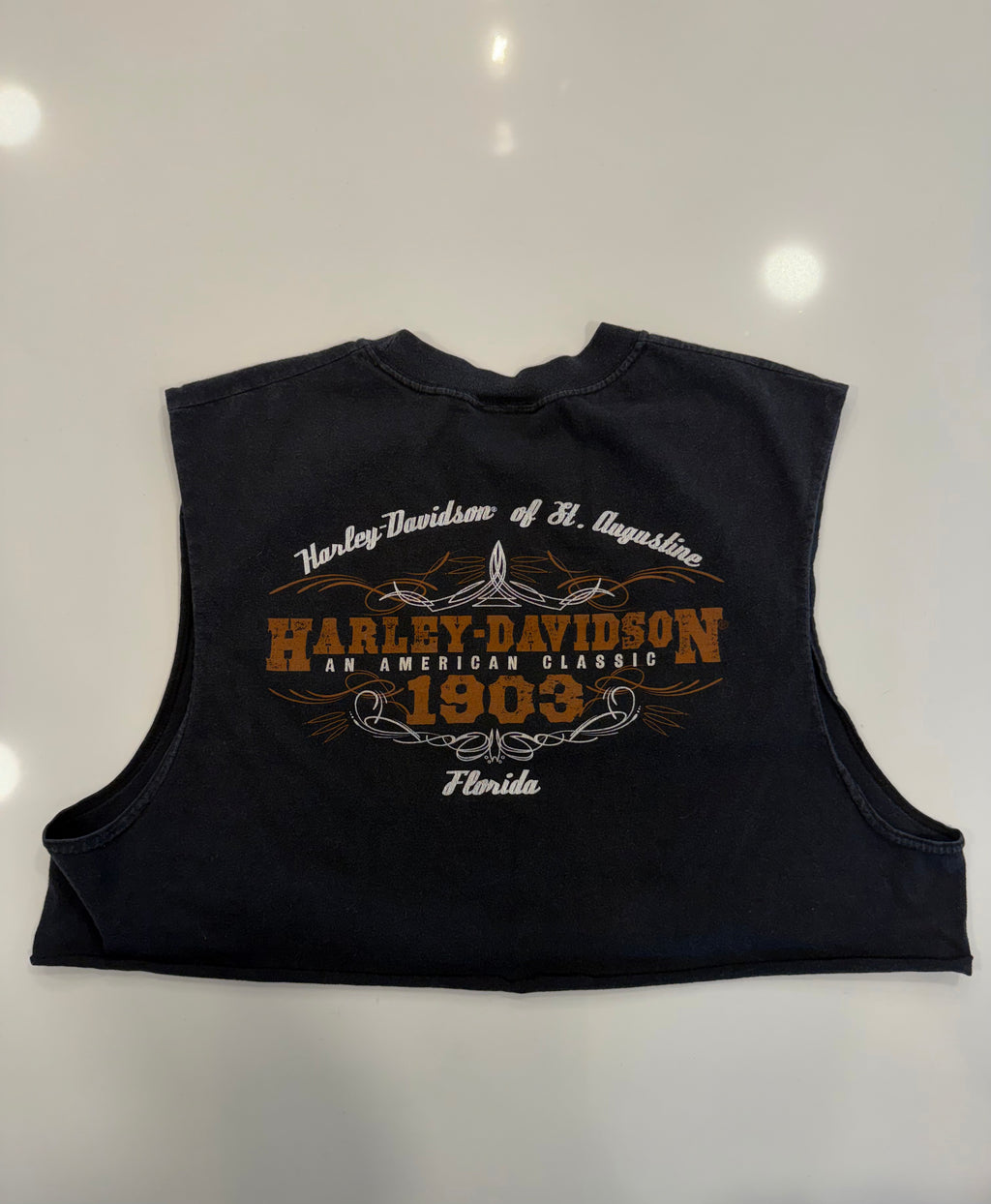 St. Augustine FL flaming pin up girls cropped tank