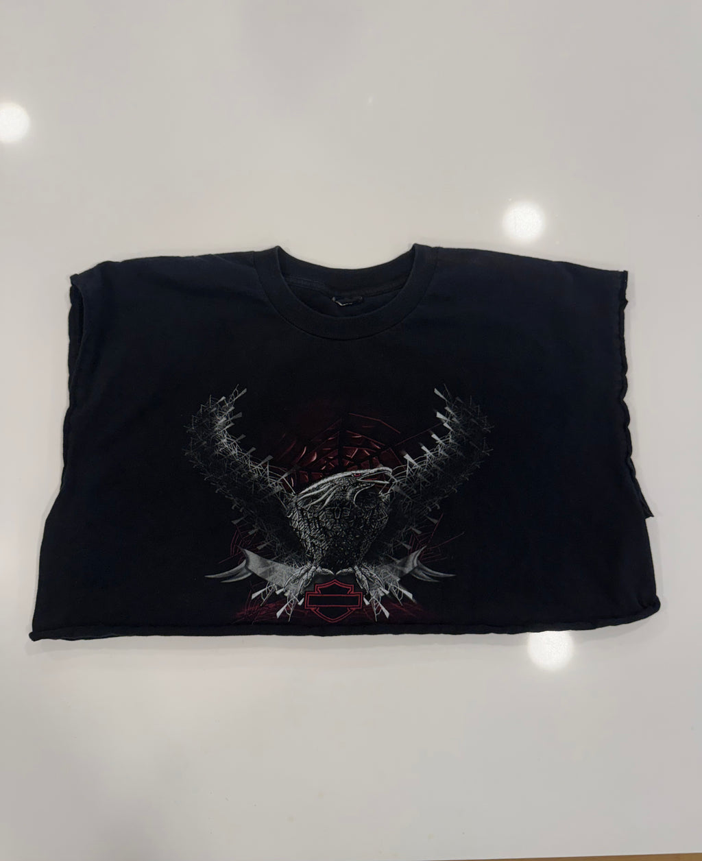 Edgy spiderweb/eagle tee