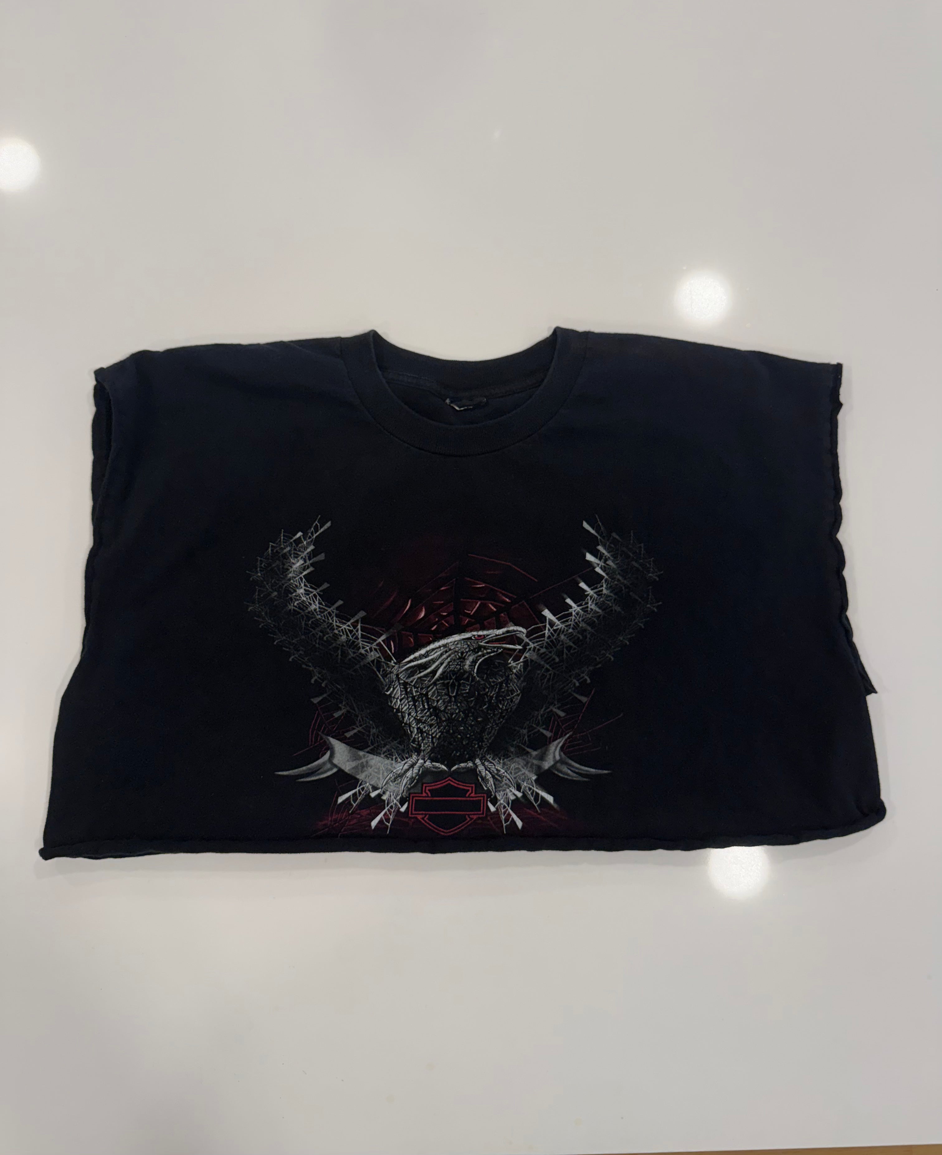 Edgy spiderweb/eagle tee