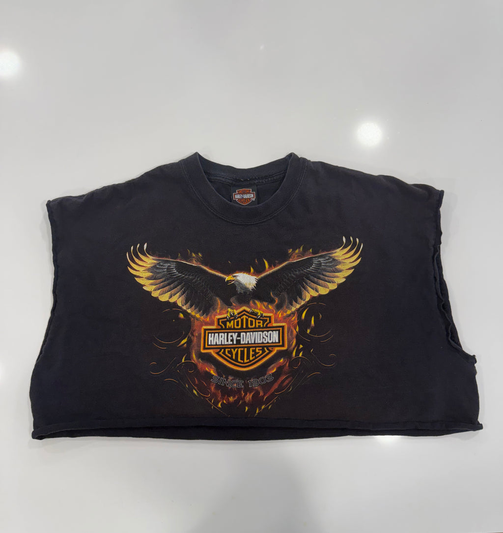Flaming eagle tee