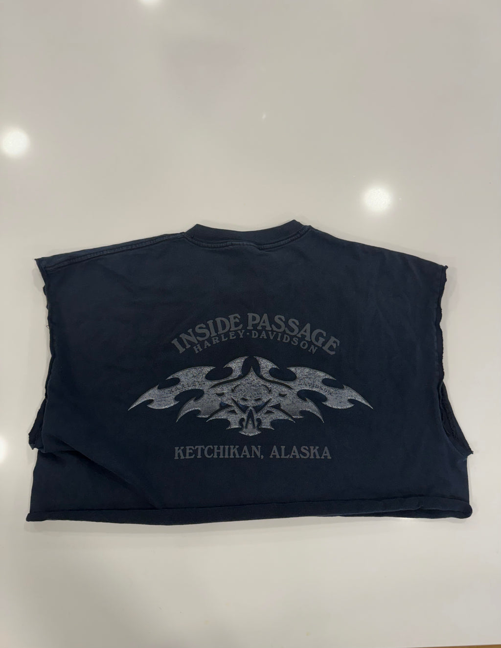 Fearless and proud eagle/wolf tee