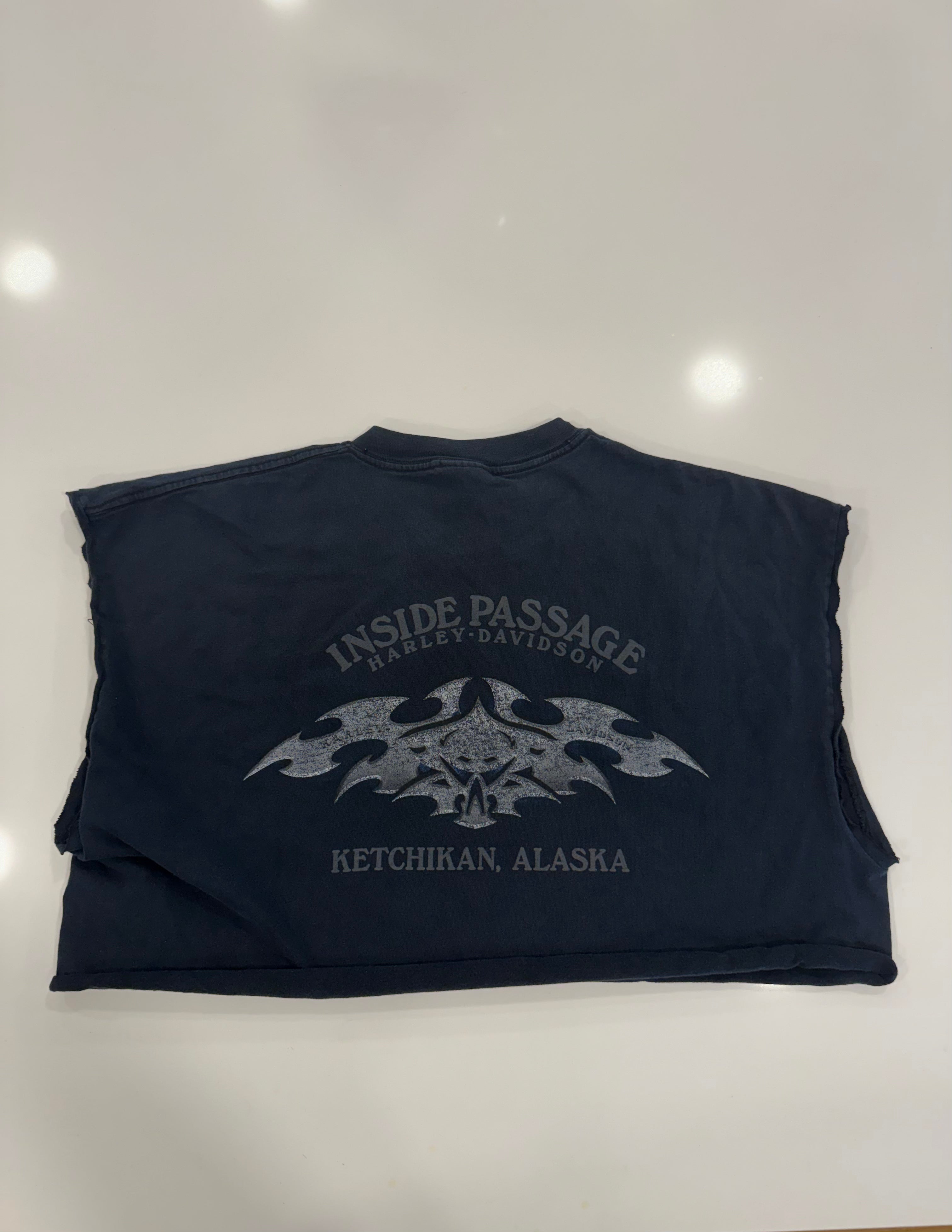 Fearless and proud eagle/wolf tee