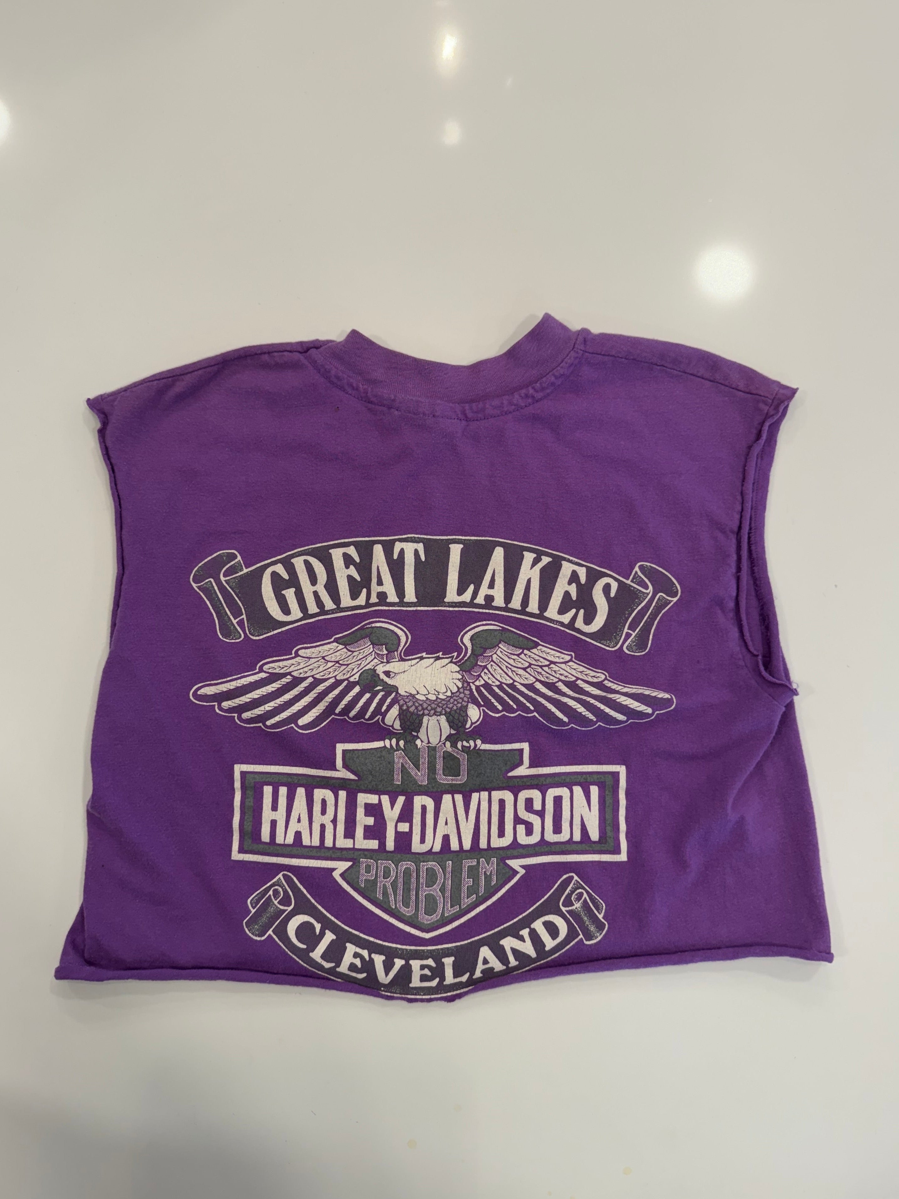 Cleveland purple cropped tee