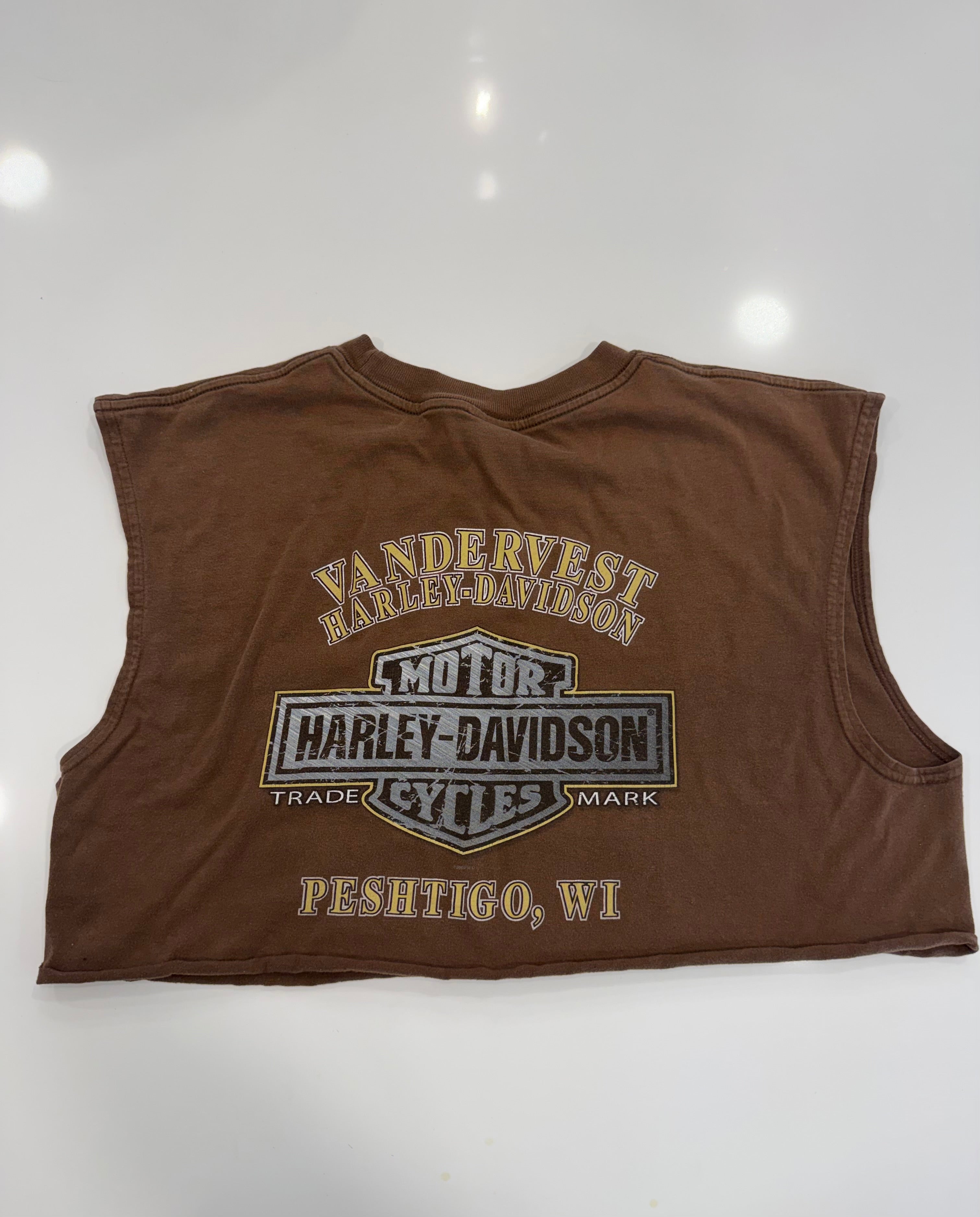 WI brown cropped tee