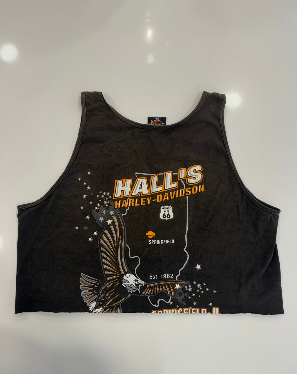 Rebel bones Illinois cropped tank
