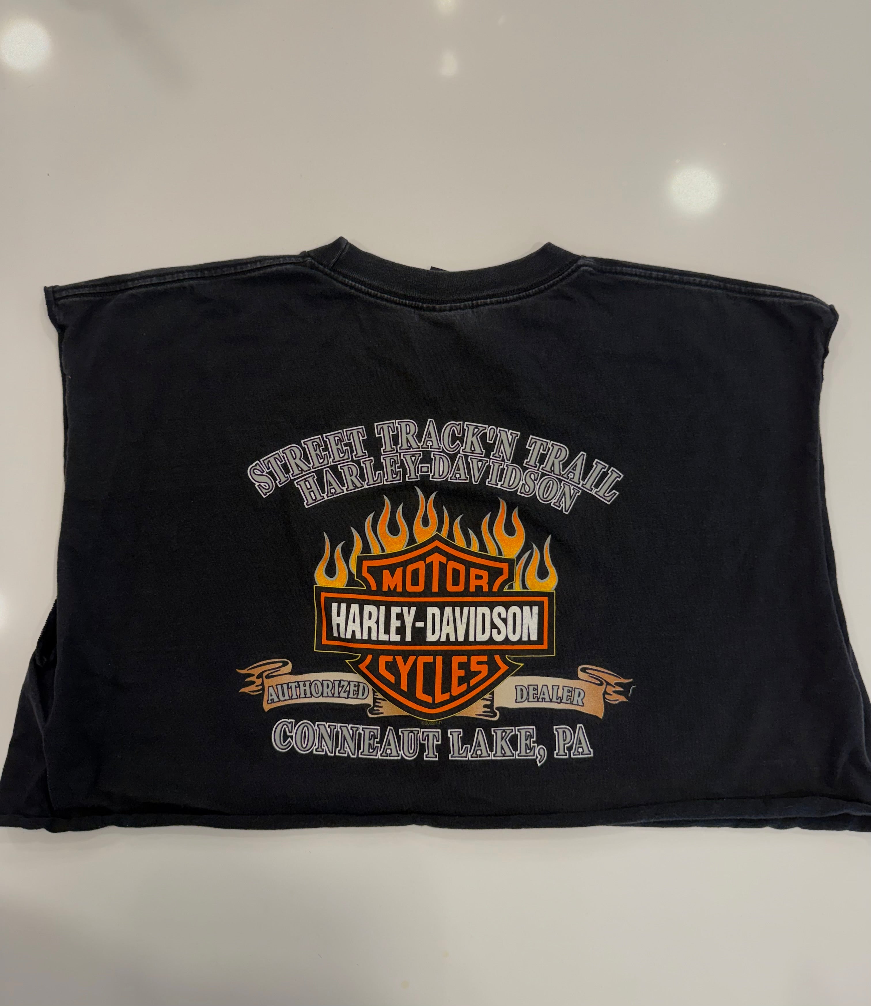 PA lightening cropped tee