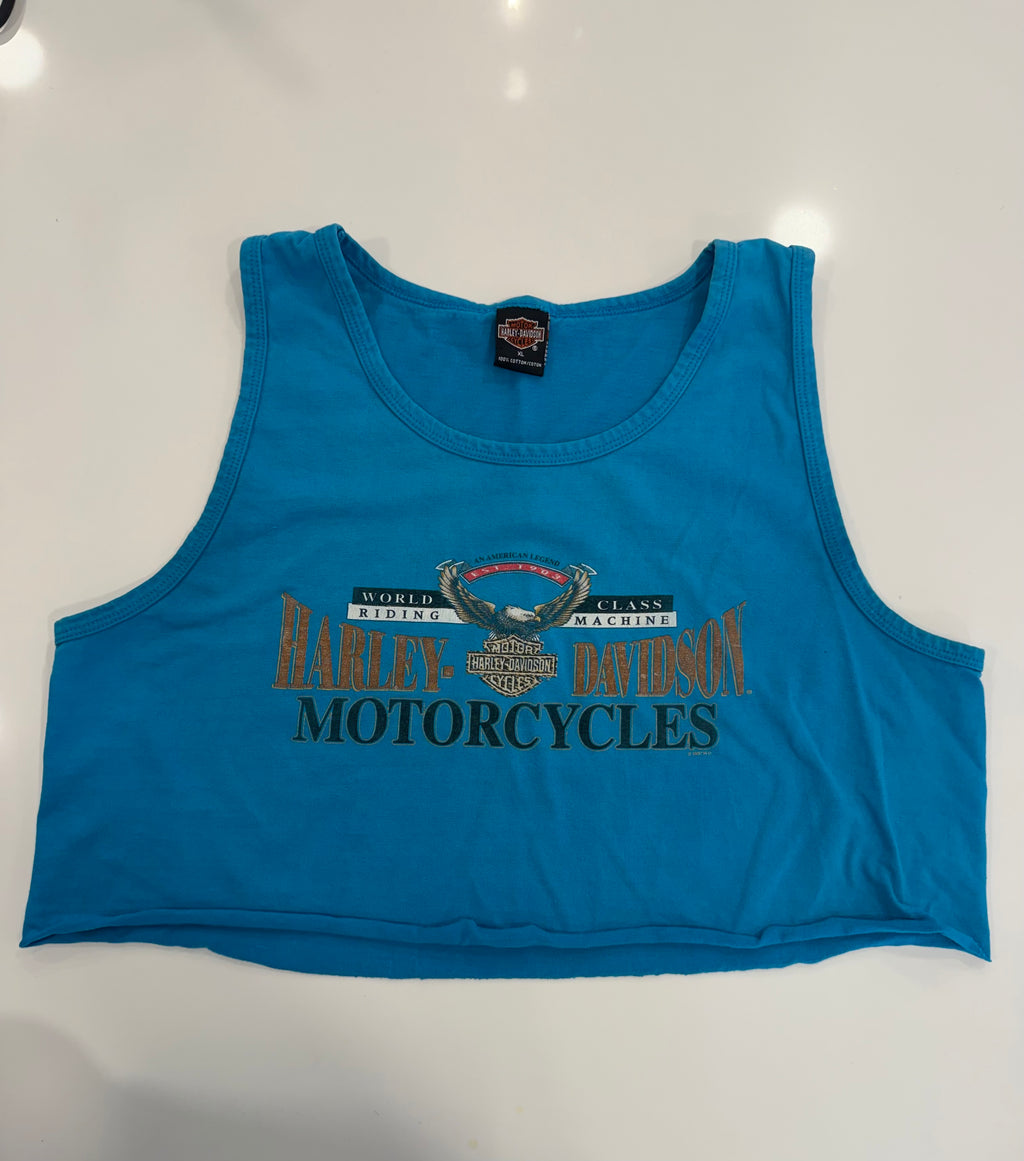 New Hampshire blue cropped tank