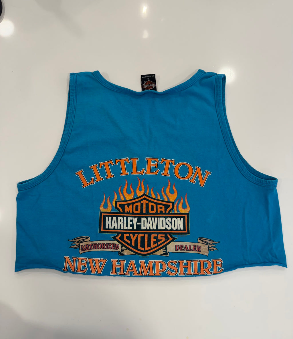 New Hampshire blue cropped tank