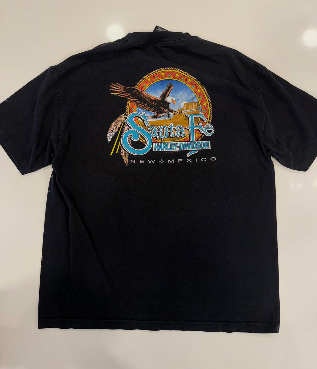 New Mexico lightening bolt T shirt