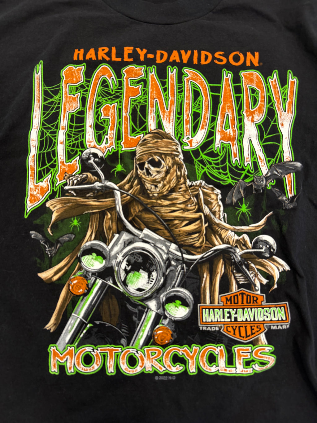 Lisle IL mummy tee