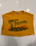 Maryland yellow pumpkin crop