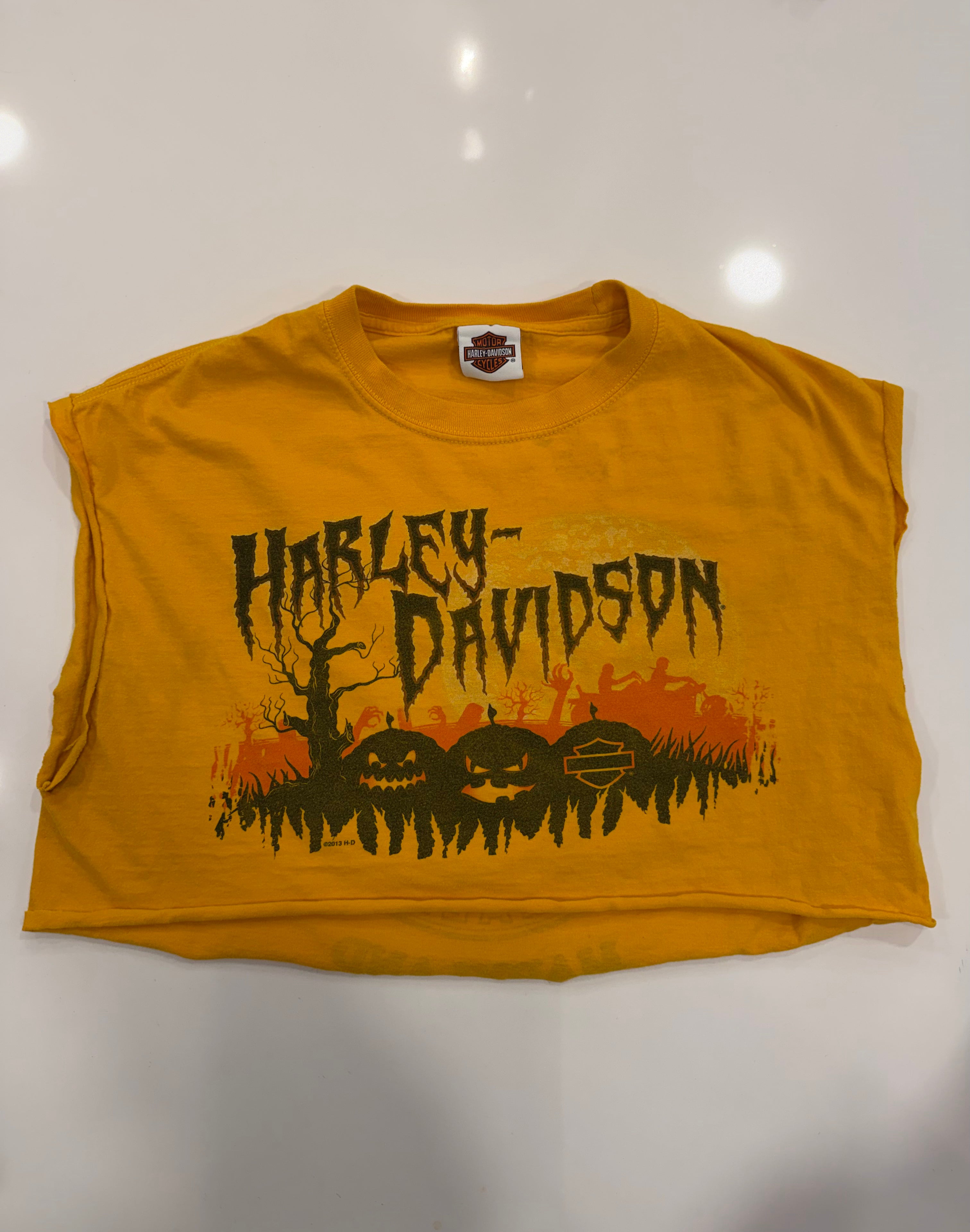 Maryland yellow pumpkin crop