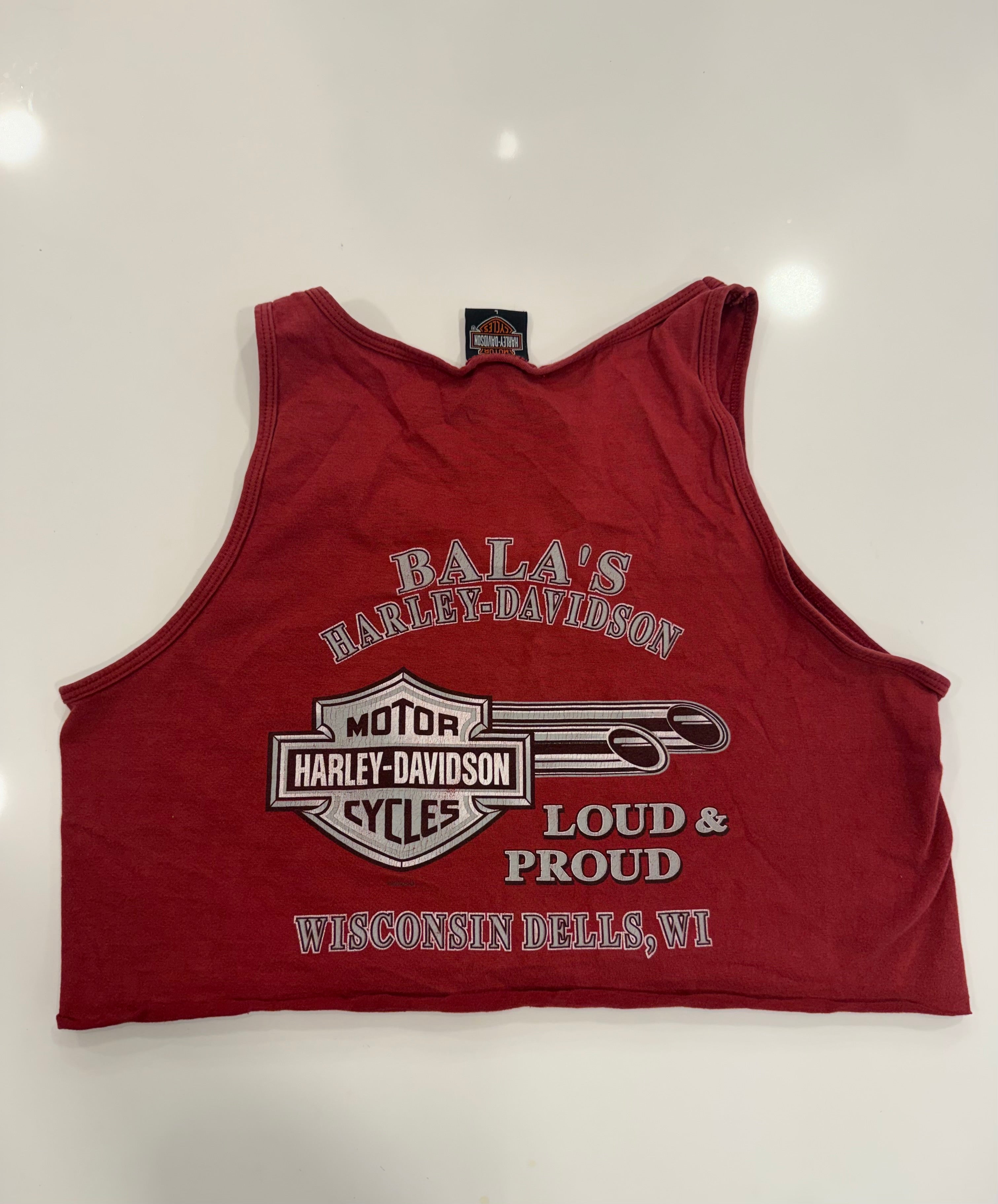 Loud and proud WI cropped tank