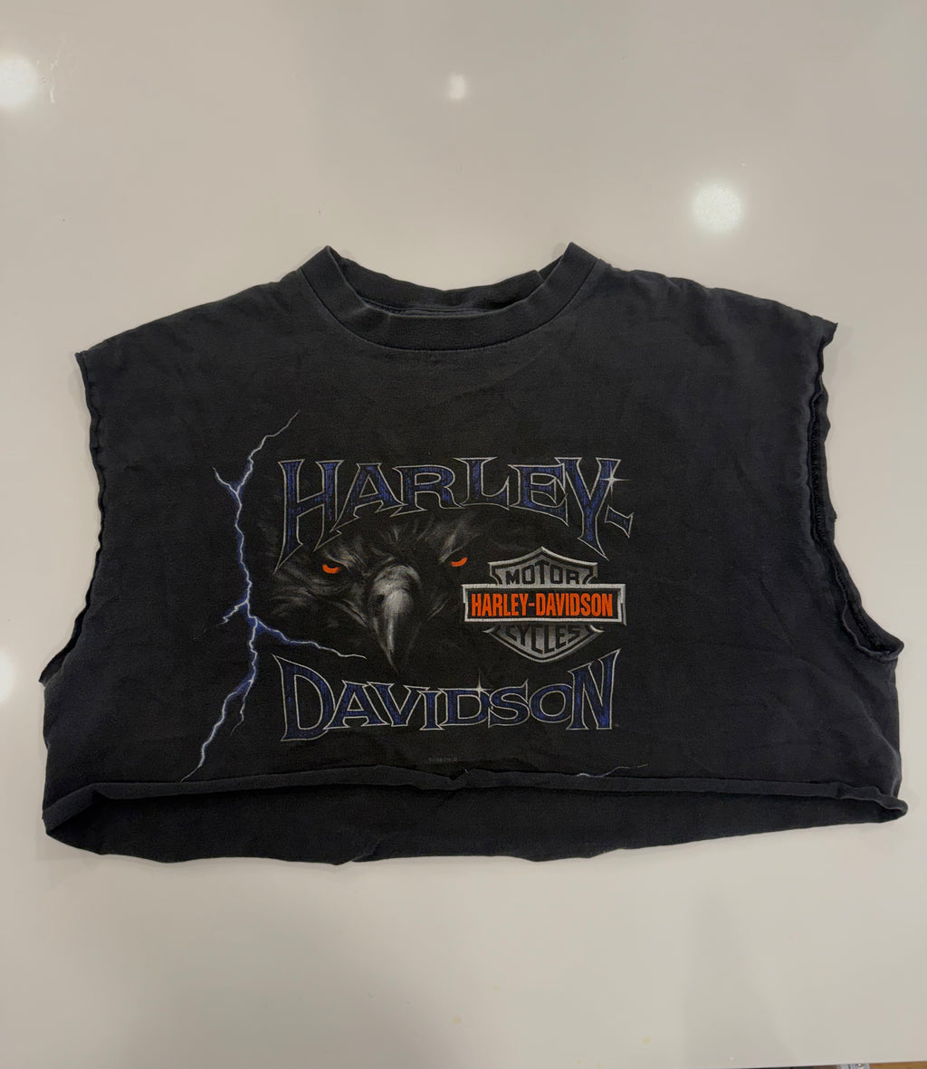 WV dark eagle lightening cropped tee
