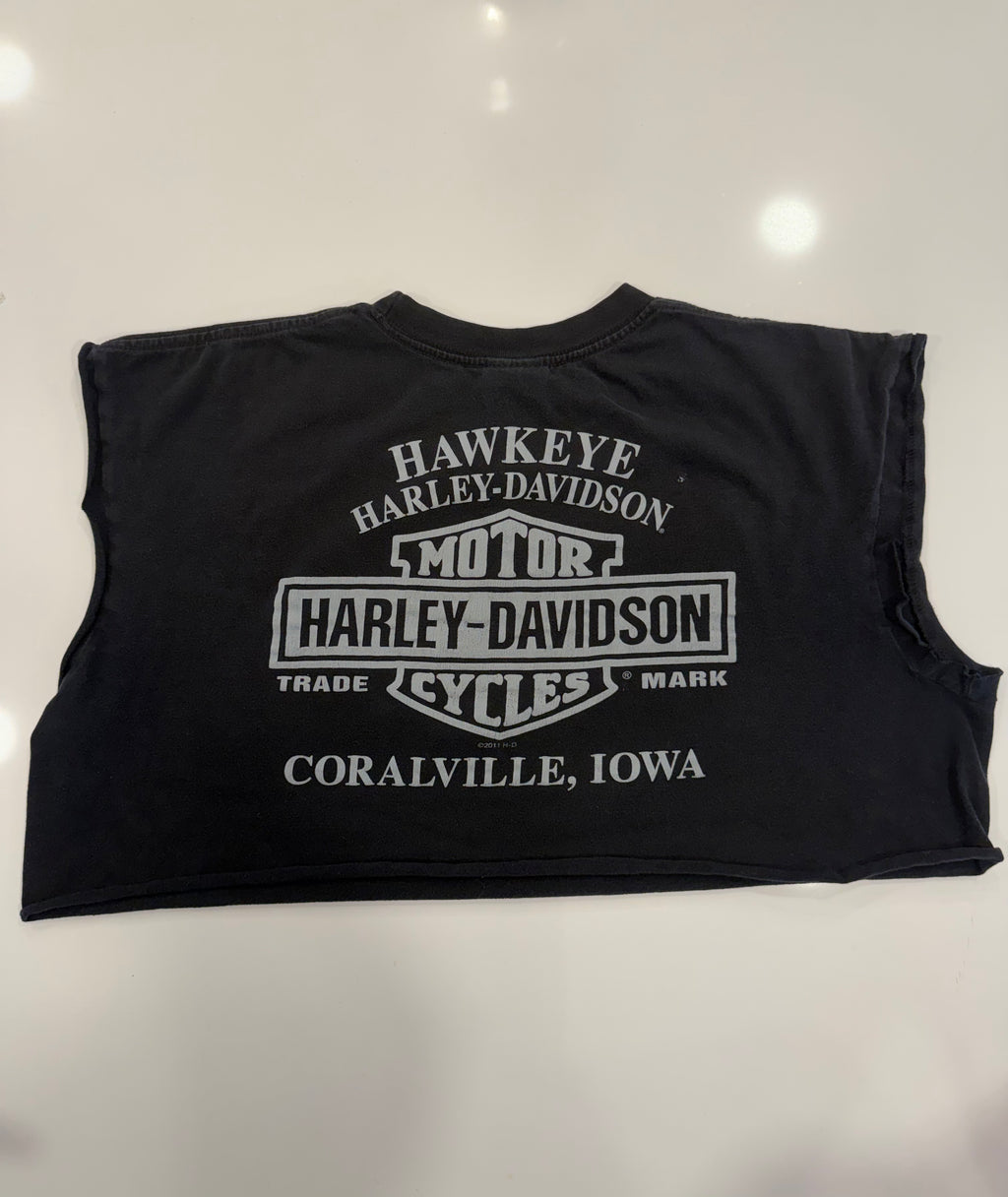 Iowa Menacing ride clown crop