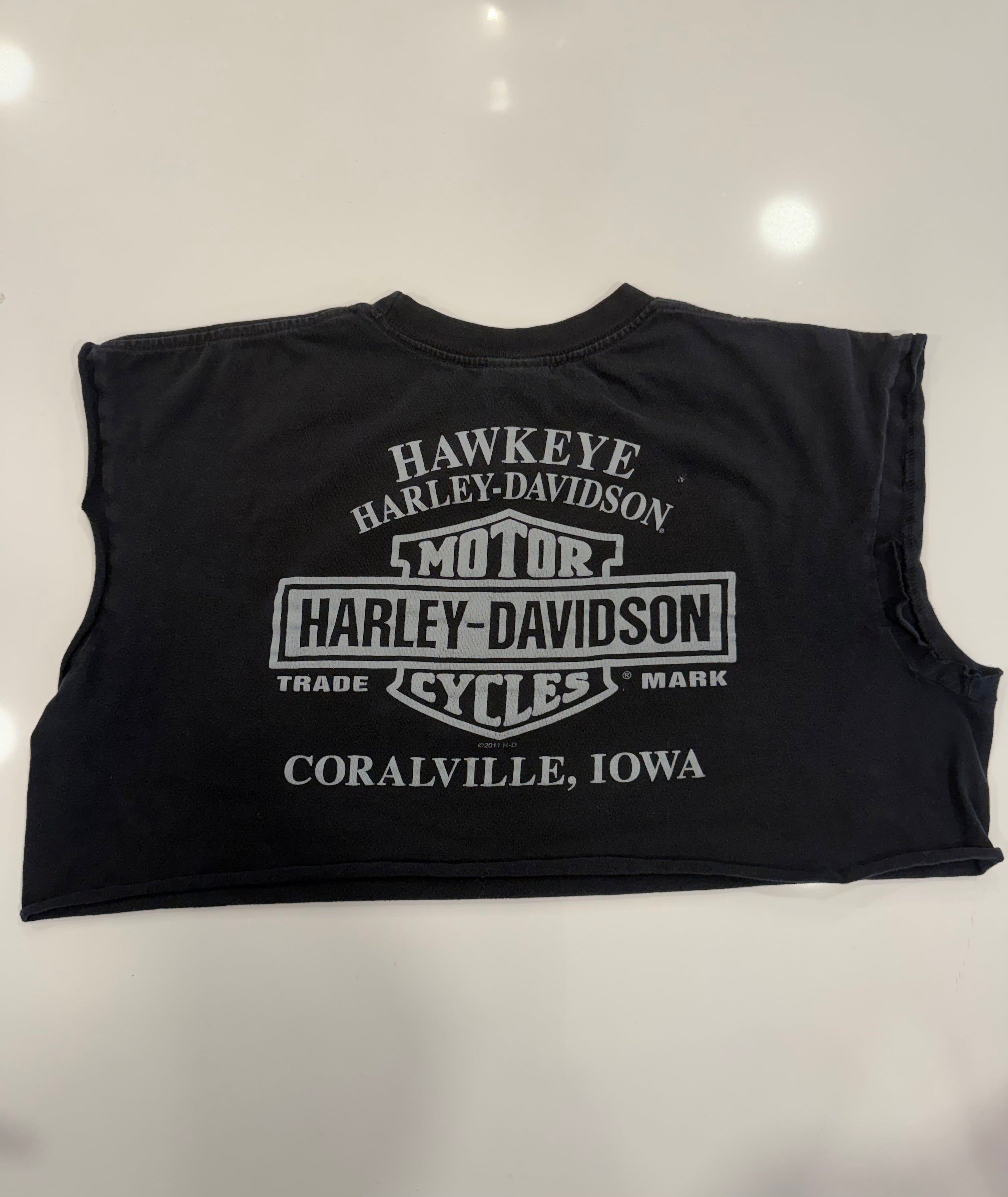 Iowa Menacing ride clown crop