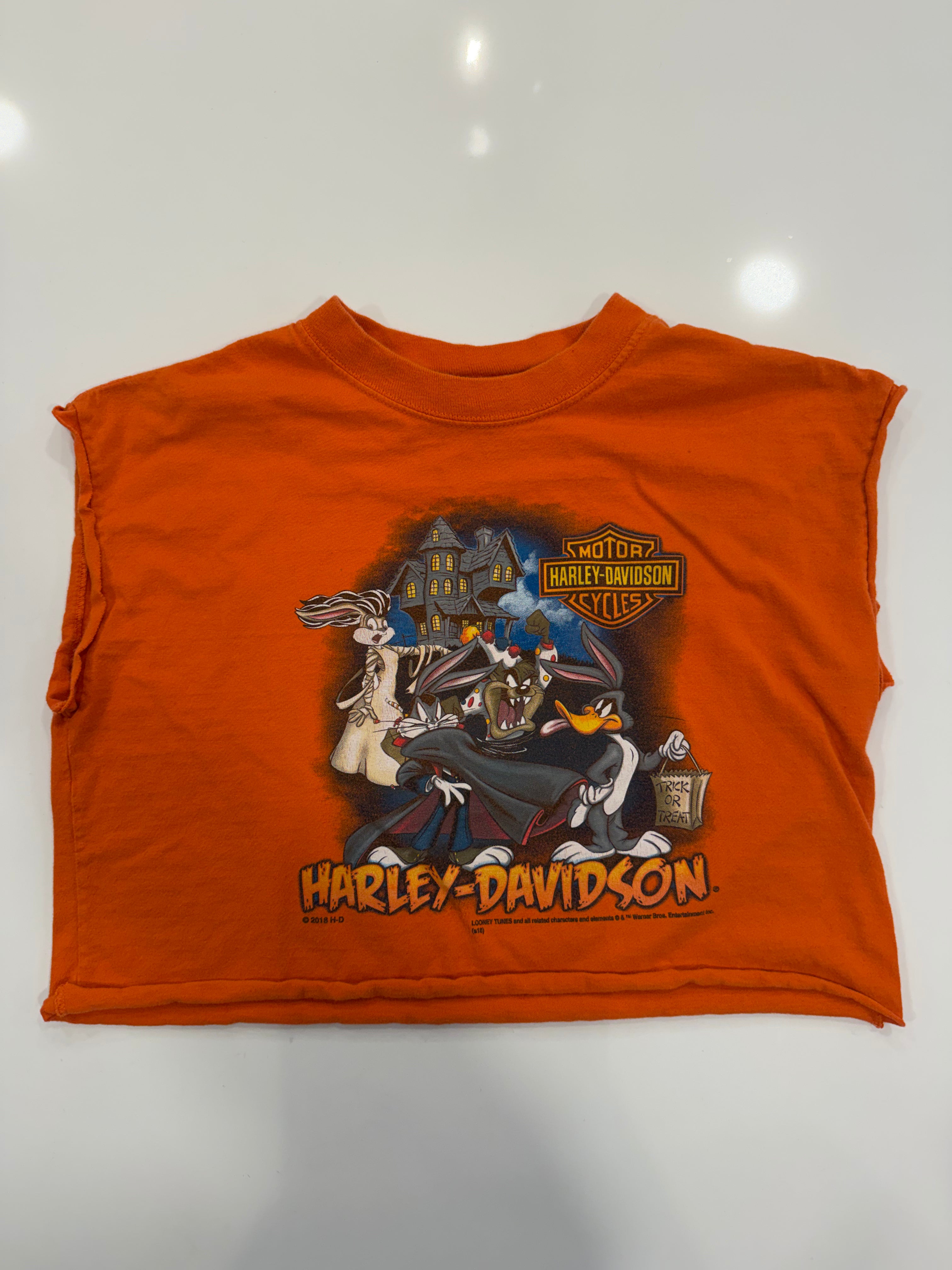 Texas halloween Looney Tunes crop