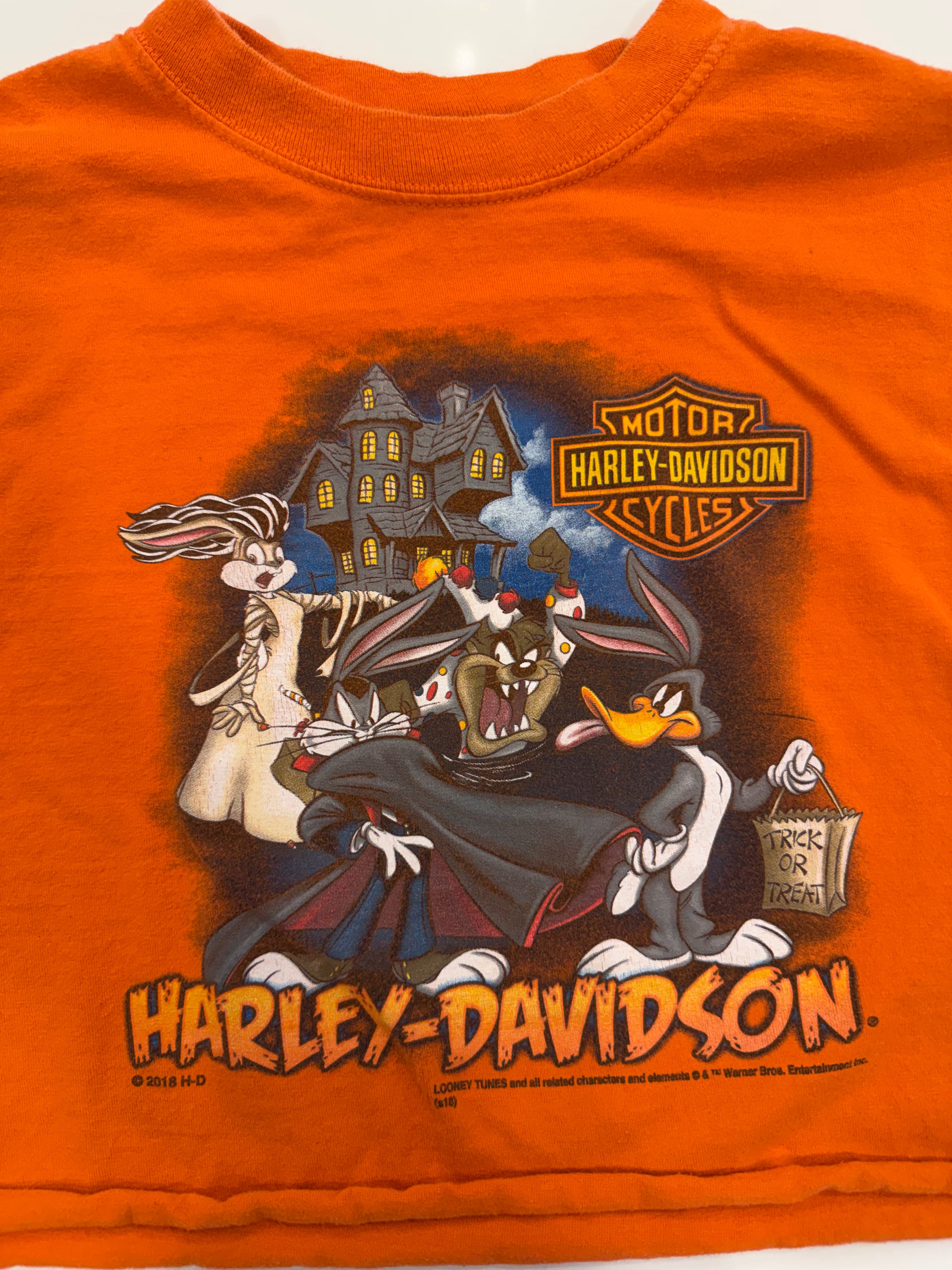 Texas halloween Looney Tunes crop