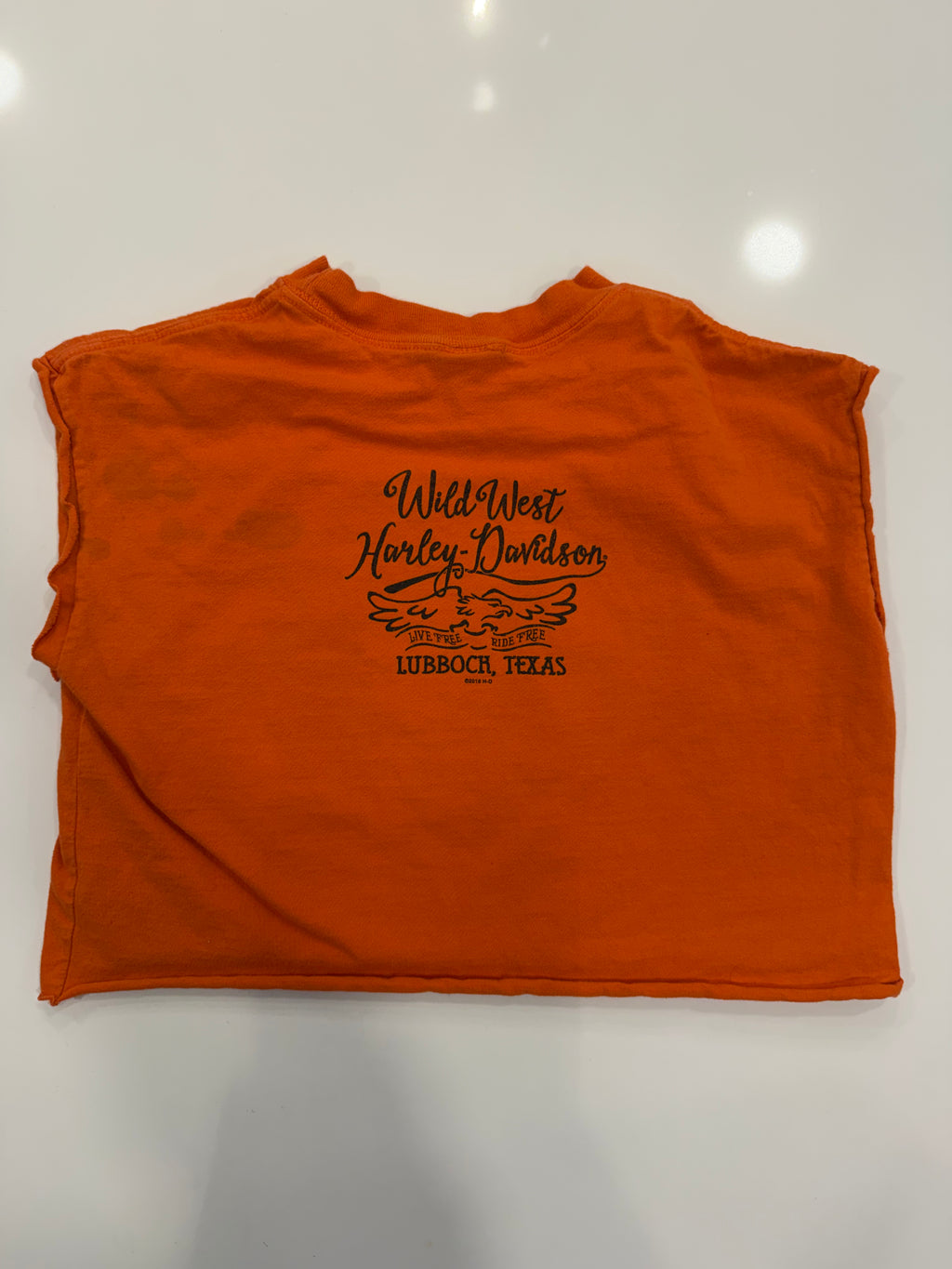 Texas halloween Looney Tunes crop