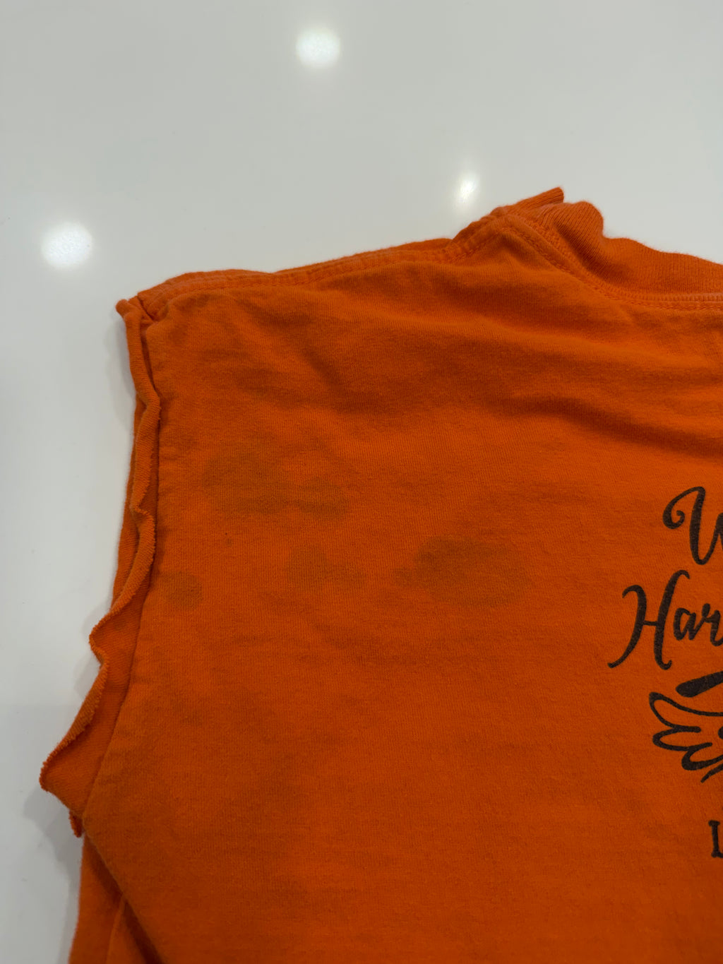 Texas halloween Looney Tunes crop