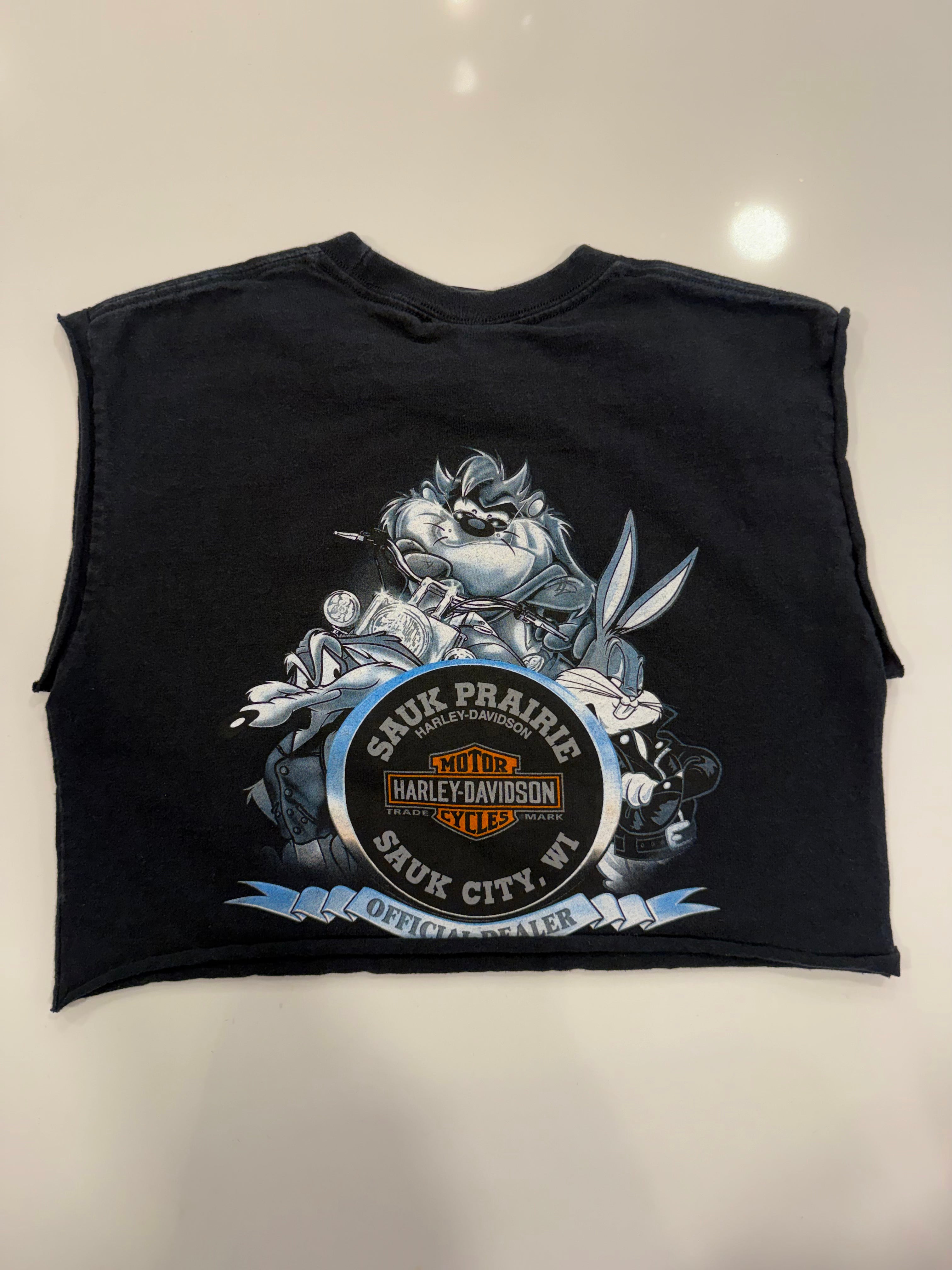 WI Looney Tunes crop