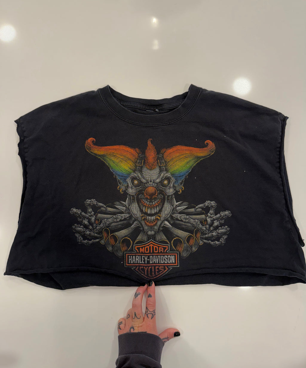 New York rainbow clown crop