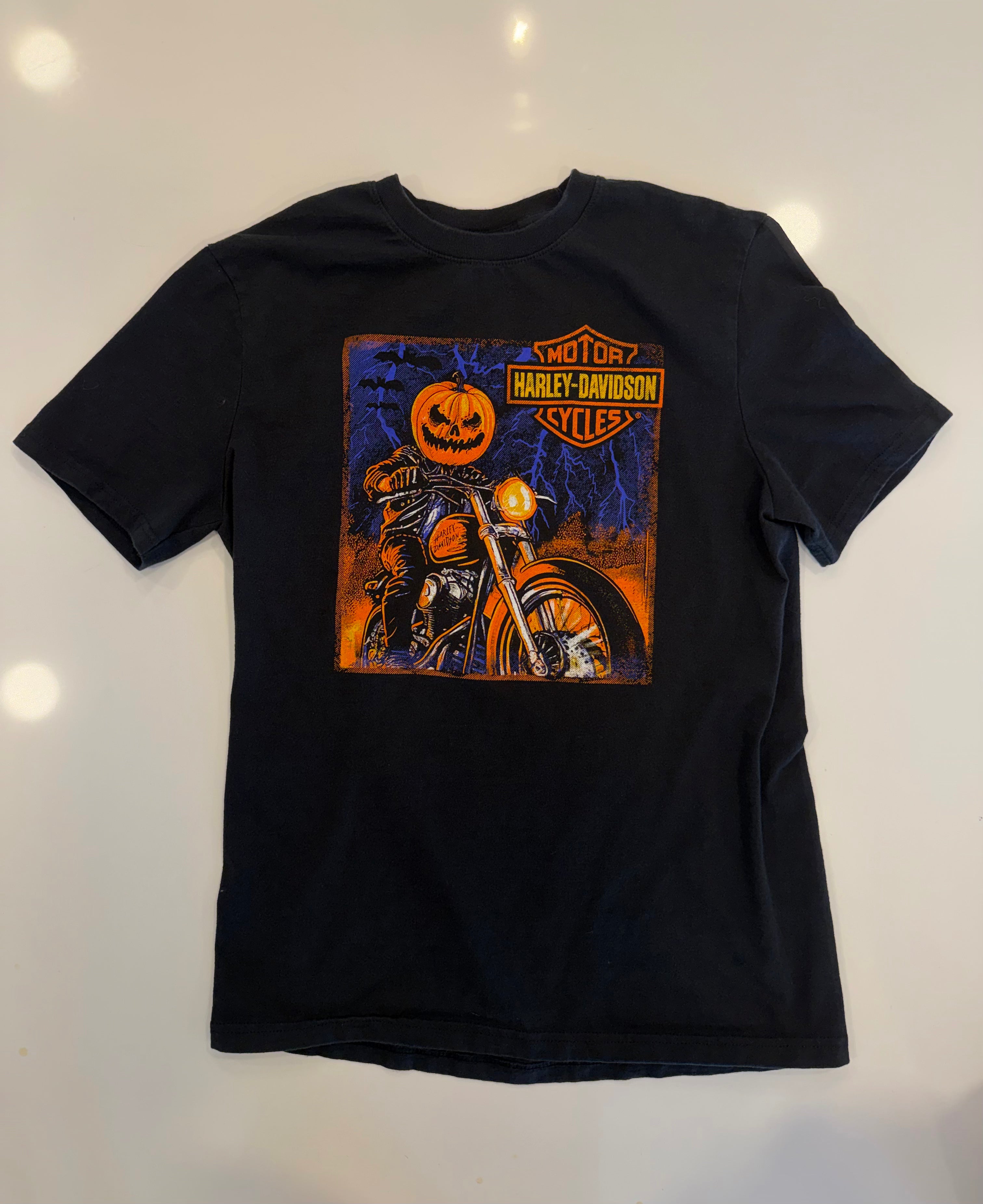 Lafayette LA pumpkin on a Harley tee