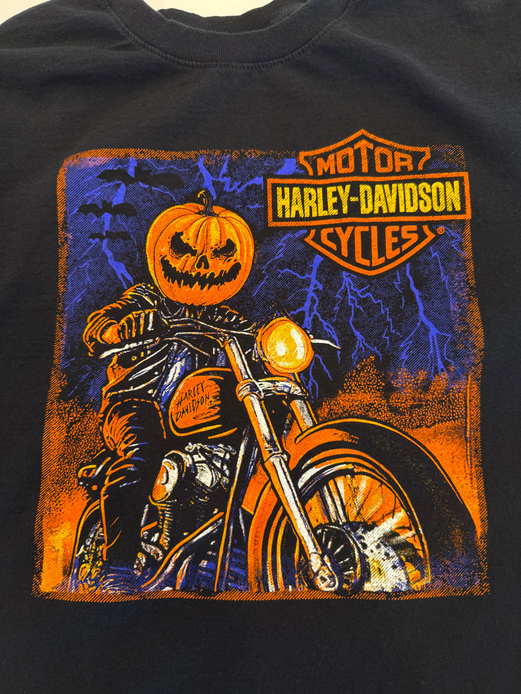 Lafayette LA pumpkin on a Harley tee