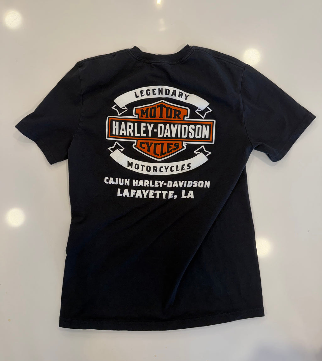 Lafayette LA pumpkin on a Harley tee