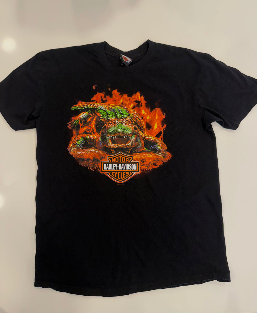 Florida flaming gator