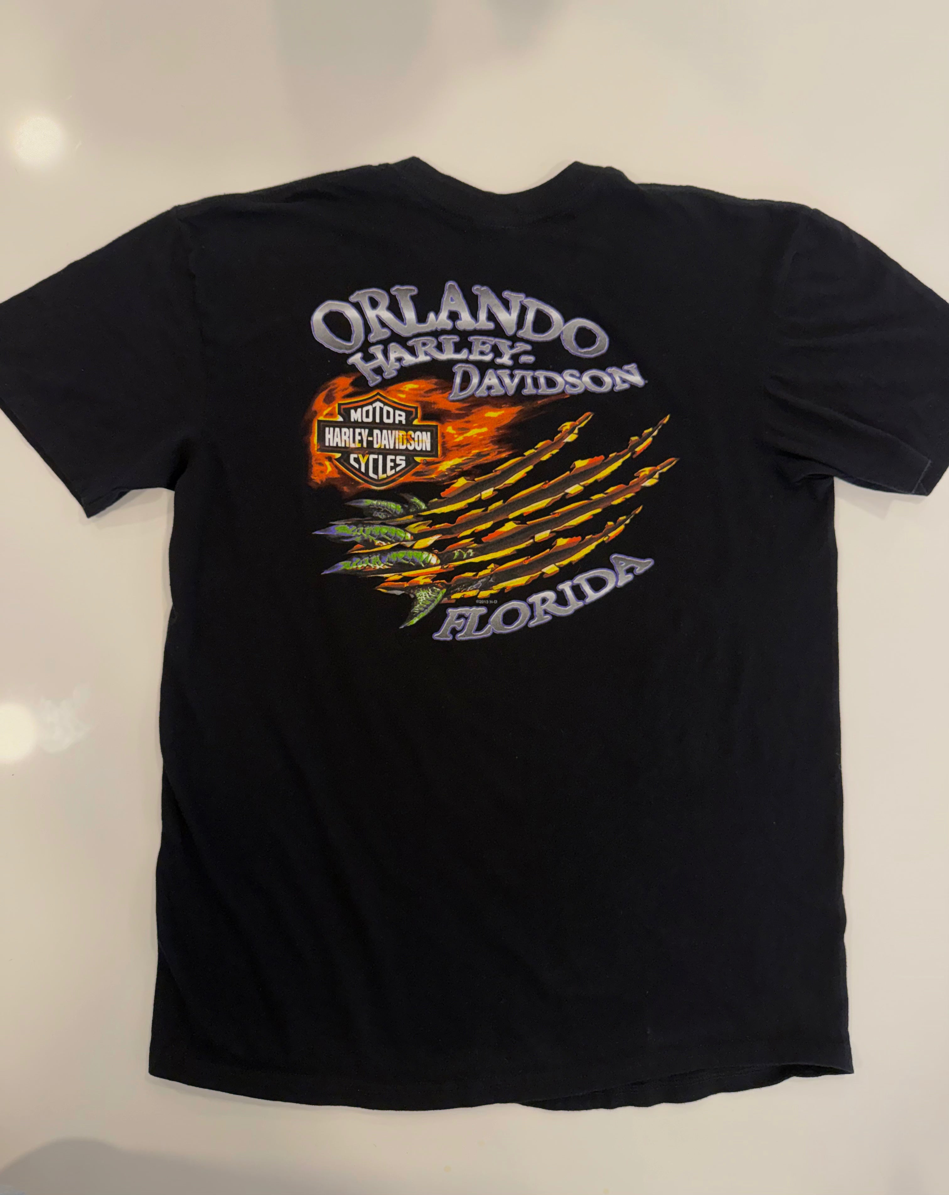 Florida flaming gator