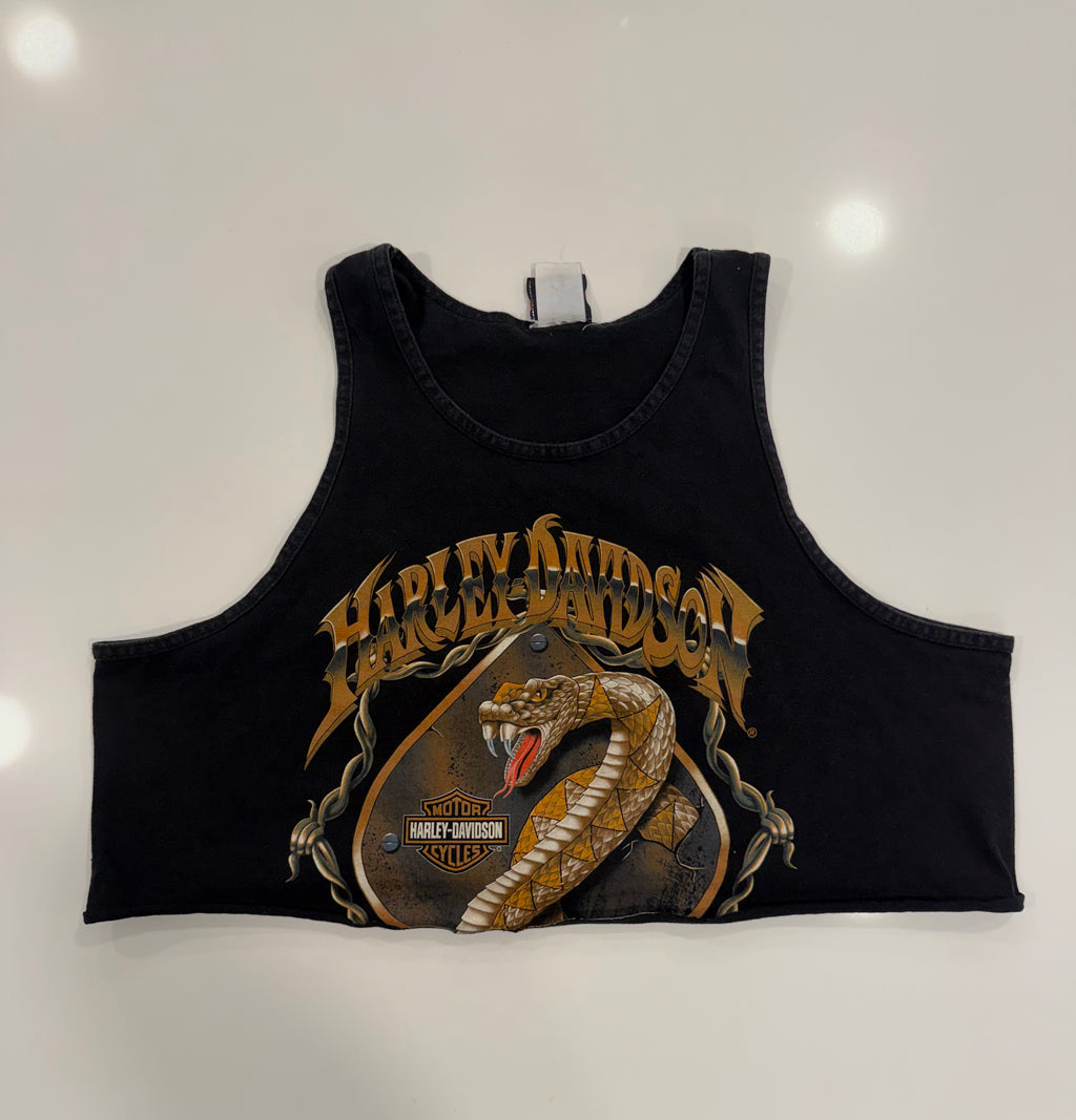 Missouri barb wire snake cropped tank