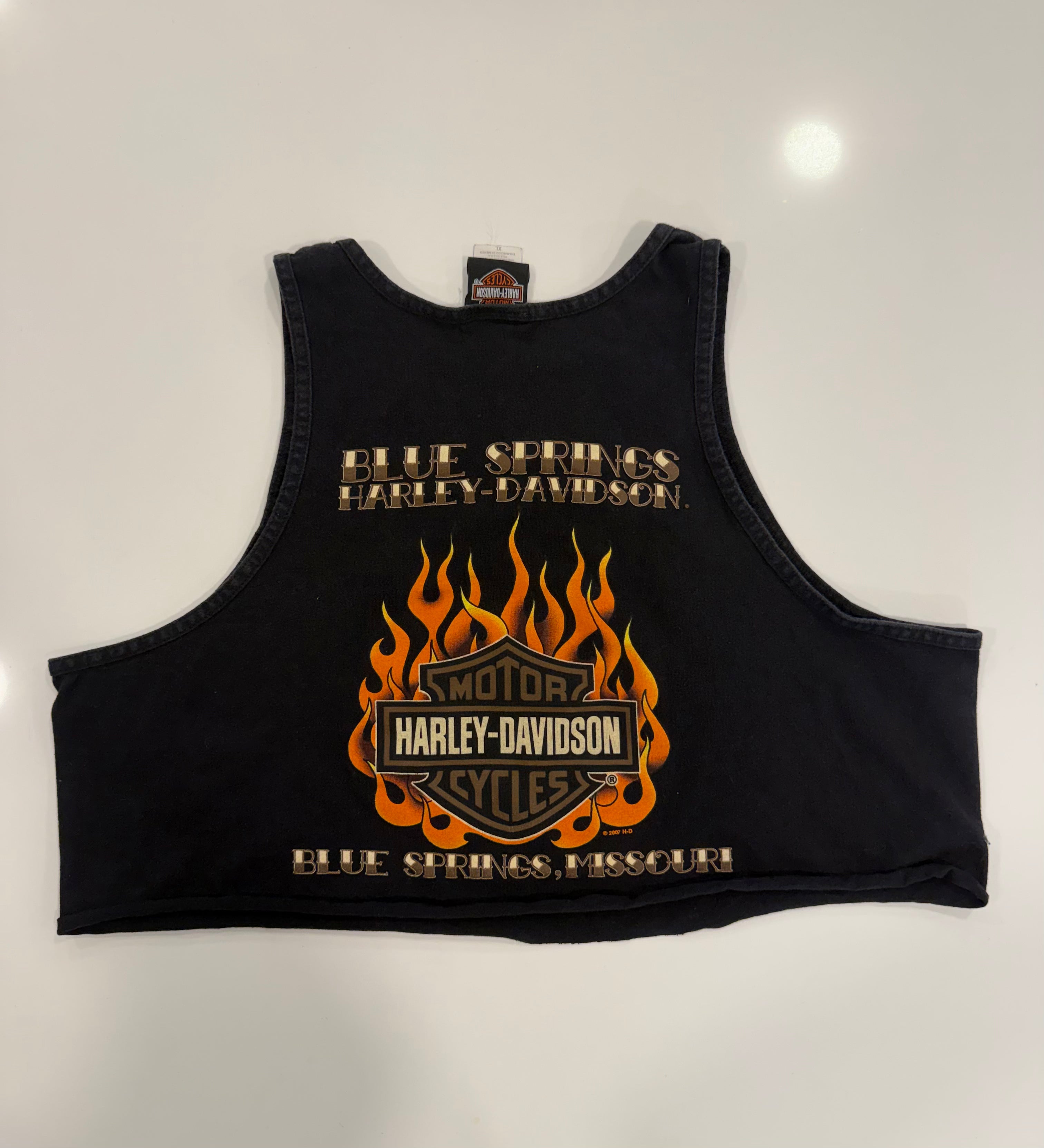 Missouri barb wire snake cropped tank