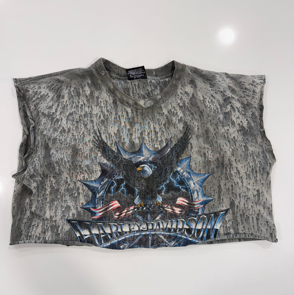 PA eagle tie dye cropped tee