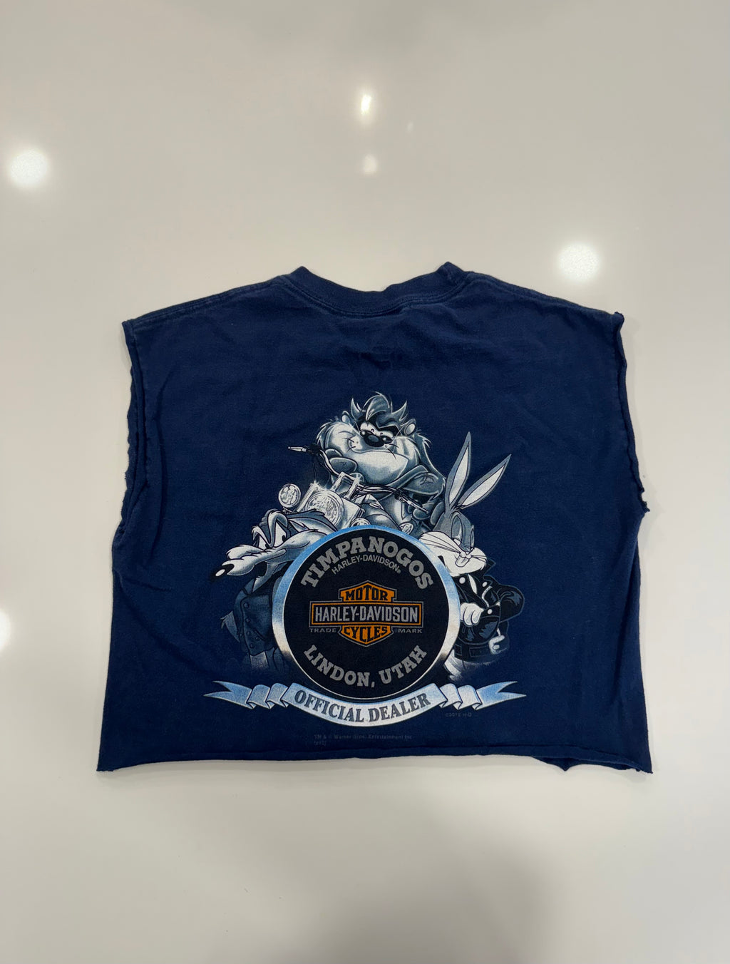 Looney tunes skull bunny crop