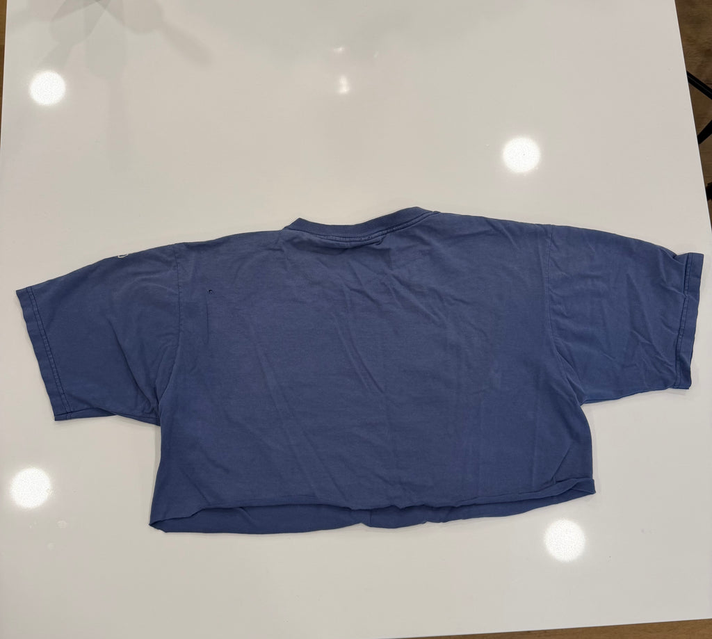 Faded baby blue crop